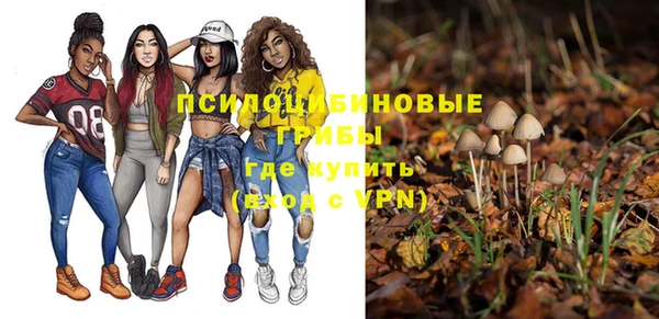 дживик Алзамай