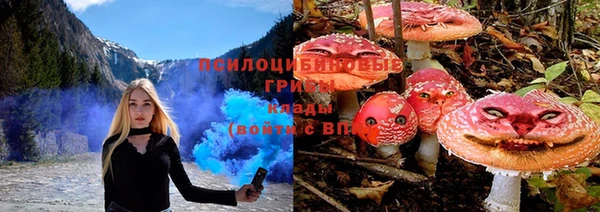 бошки Алексеевка