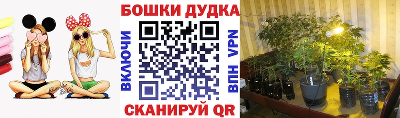 МАРИХУАНА тримм Новочебоксарск